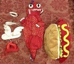 Halloween Dog Costumes: Hot Dog, Dragon, Devil & Angel