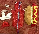Halloween Dog Costumes: Hot Dog, Dragon, Devil & Angel