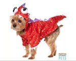 Halloween Dog Costumes: Hot Dog, Dragon, Devil & Angel