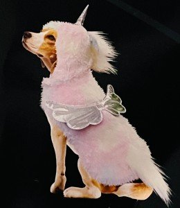 Medium Unicorn Dog Halloween Costume Outfit