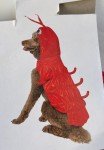 Medium Lobster Dog Halloween Costume Outfit