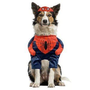 Spider-Man Dog Costume - Small Size Outfit