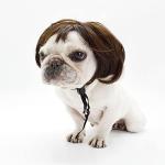 Funny Pet Wig for Dogs and Cats