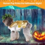 Roman Toga Costume for Dogs - Funny Dress Up