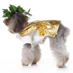 Roman Toga Costume for Dogs - Funny Dress Up
