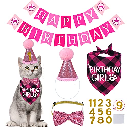 Cat Birthday Party Hat and Bandana Set