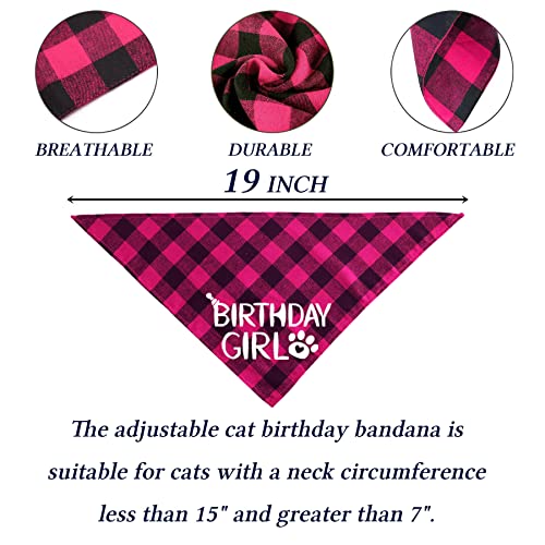 Cat Birthday Party Hat and Bandana Set