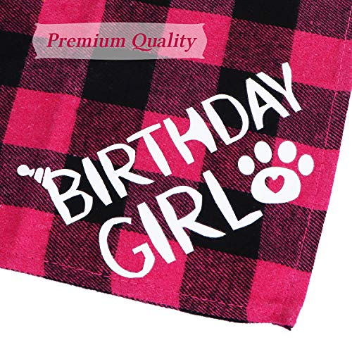 Cat Birthday Party Hat and Bandana Set