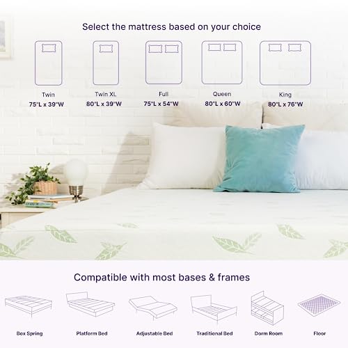 NapQueen 6-Inch Twin Green Tea Memory Foam Mattress