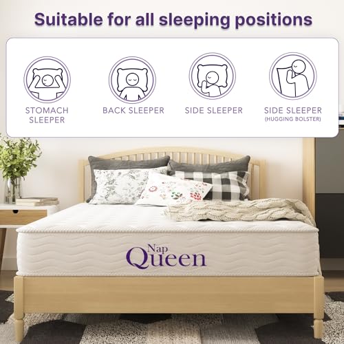 NapQueen 6" Medium Firm Innerspring Full Mattress