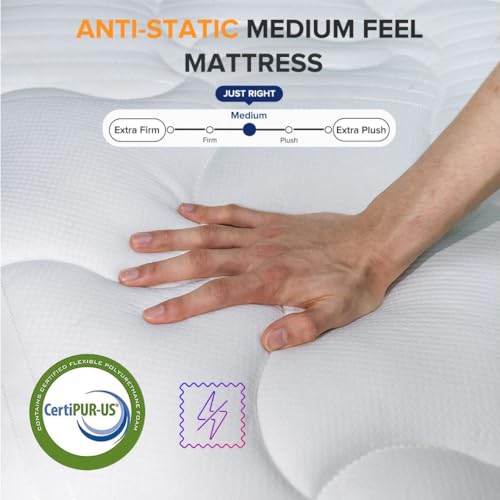 10-Inch Medium Firm Queen Hybrid Mattress