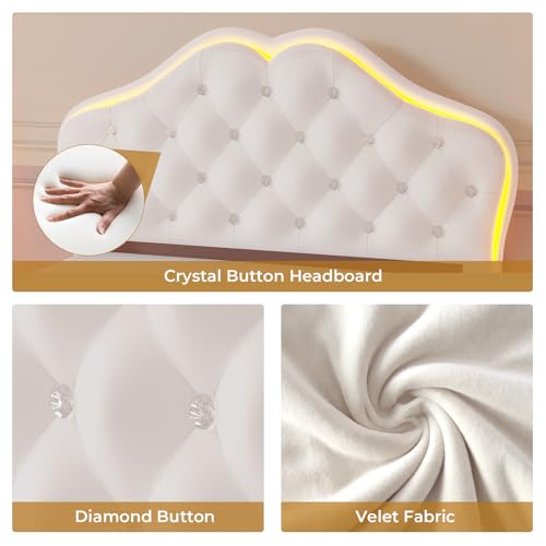 Adorneve Creamy White Twin Bed Frame with LED Lights