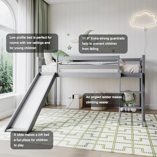 Twin Size Solid Wood Loft Bed with Slide