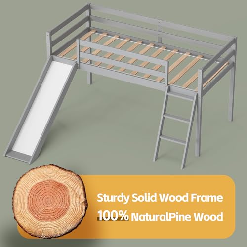 Low Loft Bed with Slide and Storage - Grey