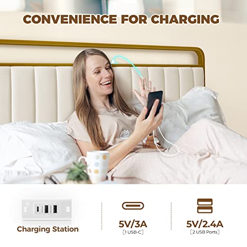 Rolanstar Twin Bed Frame with LED Light & Charge