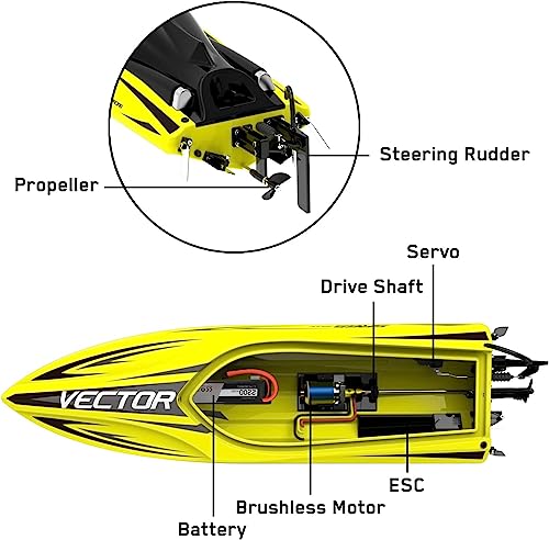 High-Speed Brushless RC Boat for Adults - Vector SR65