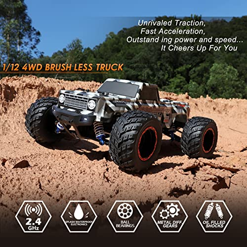 High Speed Brushless RC Off-Road Truck for Adults
