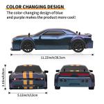 iBliver 1:14 RC Drift Car - High Speed Racing!