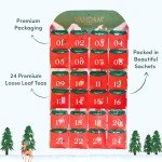 Limited Edition 2024 Tea Bag Advent Calendar
