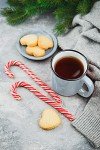 Organic White Tea Advent Calendar - 25 Pyramid Bags