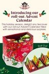 Organic Tea Advent Calendar with 25 Pyramid Bags