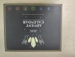 Crystal Advent Calendar 2024 for Gemstone Lovers