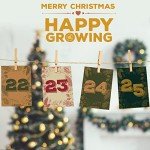 Gardening Advent Calendar: 25 Premium Seed Gifts
