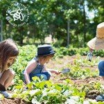 Gardening Advent Calendar: 25 Premium Seed Gifts