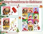 2024 Christmas Cat Puzzle Advent Calendar - 1008 Pieces