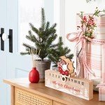 Hianjoo 2024 Christmas Countdown Advent Calendar