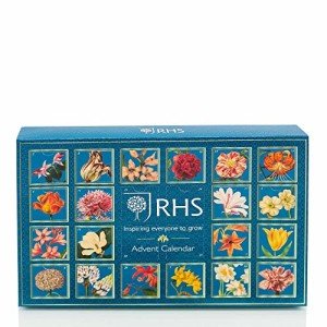 24 Days of Global Tea - Vegan Advent Calendar