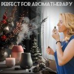 2024 Fragrance Oil Advent Calendar for Diffusers