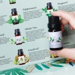 2024 Fragrance Oil Advent Calendar for Diffusers