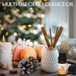 2024 Fragrance Oil Advent Calendar for Diffusers
