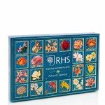 24 Days of Global Tea - Vegan Advent Calendar