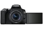 Canon EOS 250D + Canon EF-s 18-55mm f/4-5.6 IS STM Lens - Black