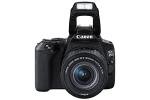 Canon EOS 250D + Canon EF-s 18-55mm f/4-5.6 IS STM Lens - Black