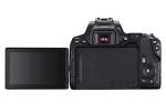 Canon EOS 250D + Canon EF-s 18-55mm f/4-5.6 IS STM Lens - Black