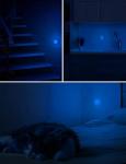 L LOHAS LED Blue Night Lights Plug into Wall 2-Pack, 0.3W Plug in Night Light, Dusk to Dawn, Bright Nightlight Auto-On/Off, for Adults Kids Room Bedroom Bathroom Hallway Kitchen, Non-Dim