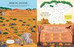 Planet Earth Activity Book