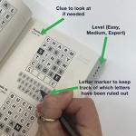 Wordle Challenge: 500 Puzzles to do anywhere, anytime: 1 (Puzzle Challenge)