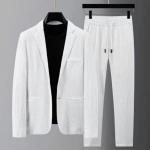 Men Two piece Suit Striped Pleated Men Pants Set Pleated Drawstring Loose Lapel Pockets Thin Formal Business Men Set