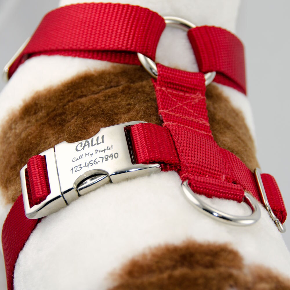Customizable Dog Harness with Front Clip, 15 Color Options