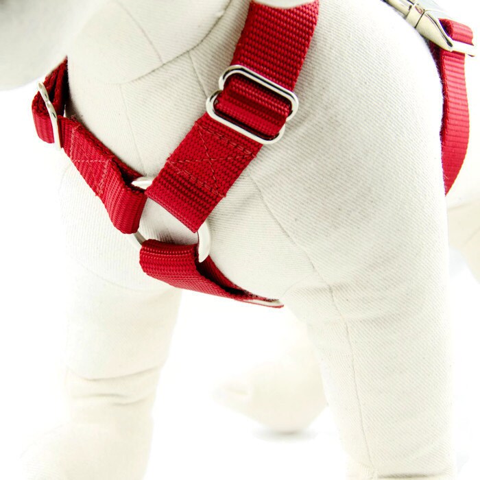 Customizable Dog Harness with Front Clip, 15 Color Options