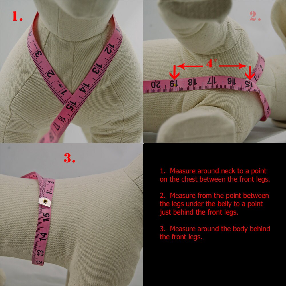 Customizable Dog Harness with Front Clip, 15 Color Options