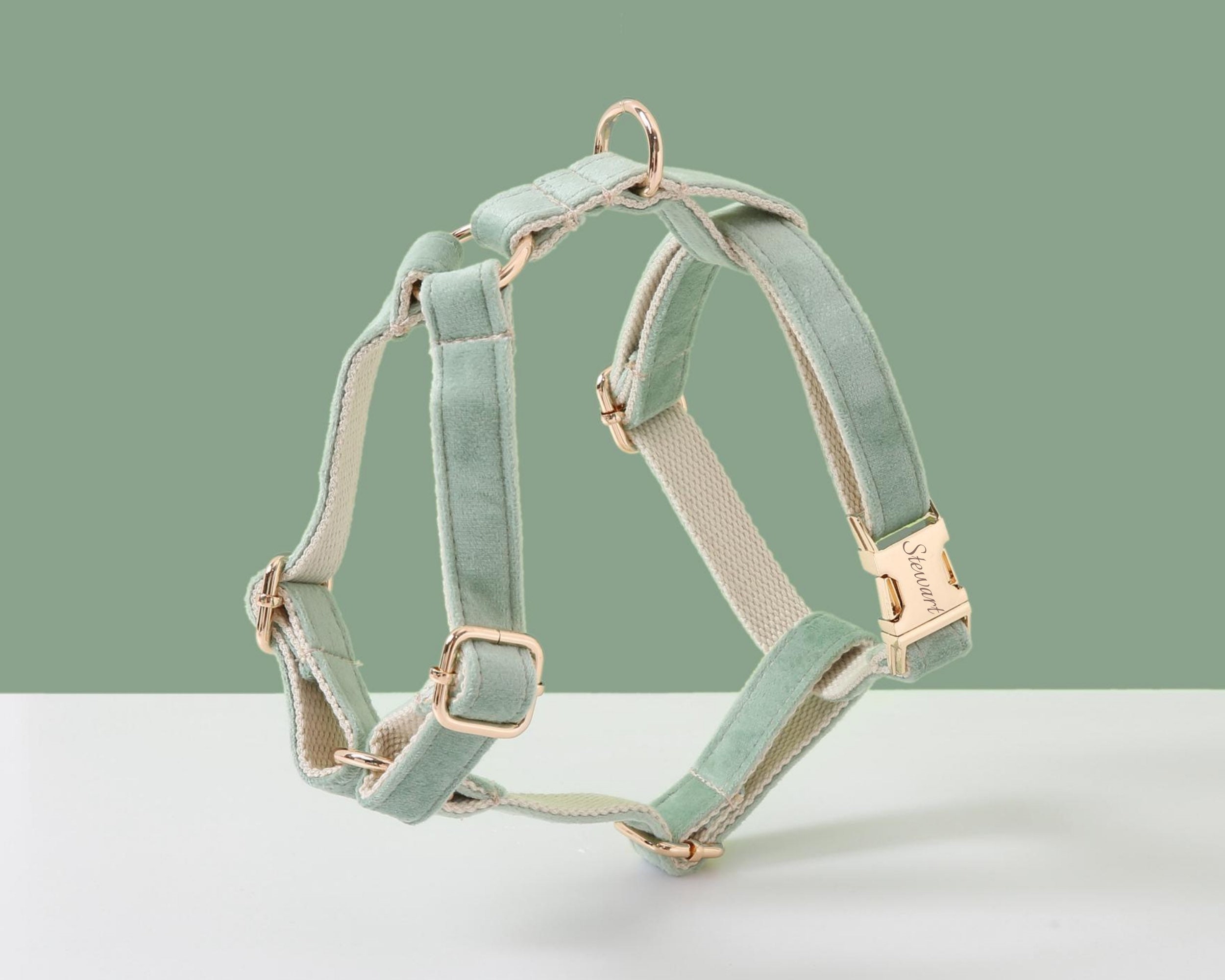Customizable Sage Green Dog Harness and Leash Set