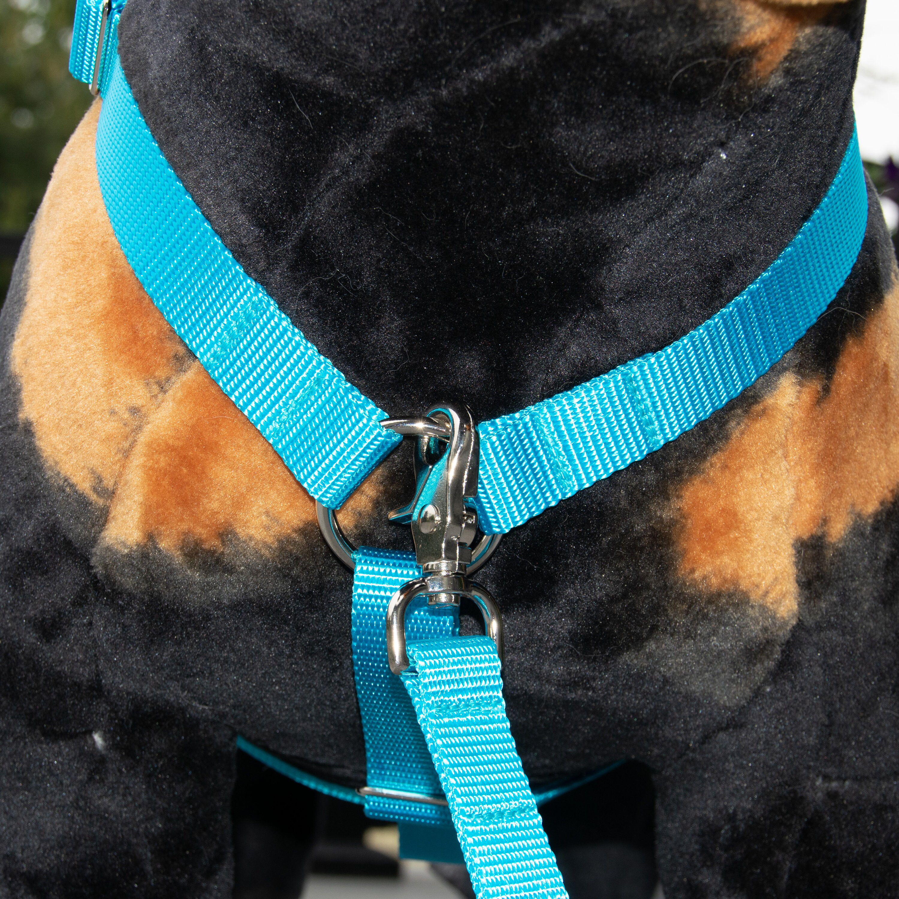 Customizable Dog Harness with Front Clip, 15 Color Options