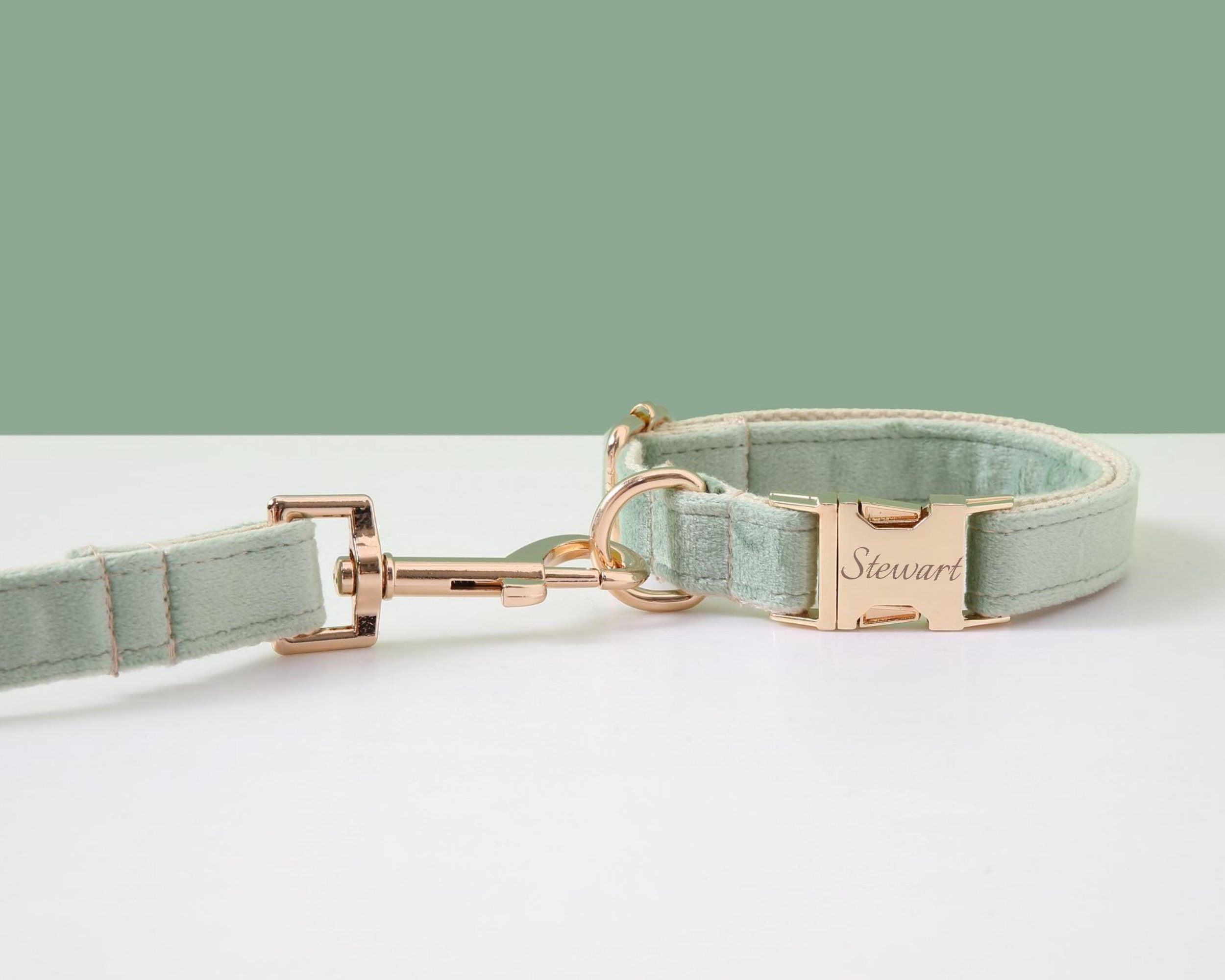 Customizable Sage Green Dog Harness and Leash Set
