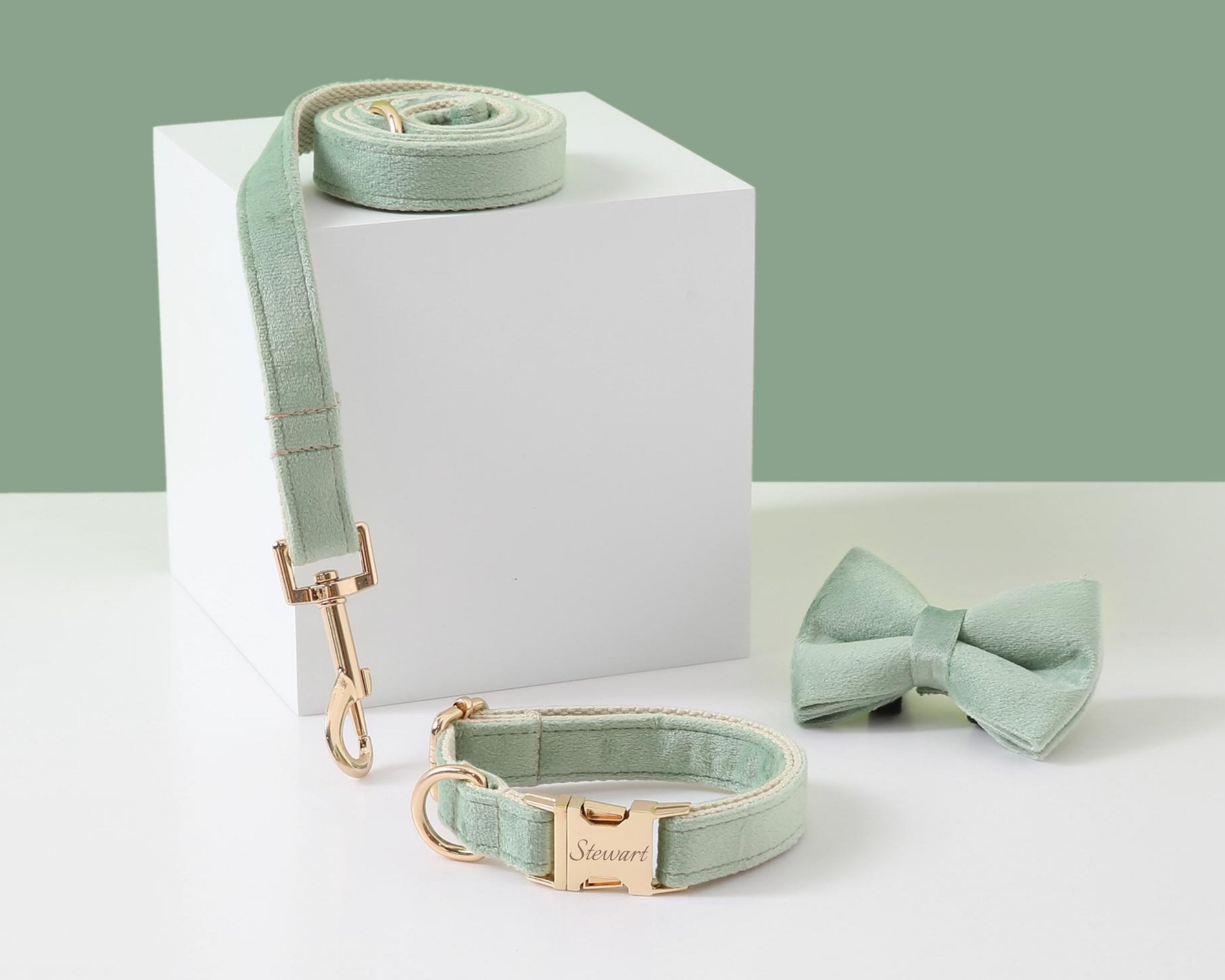 Customizable Sage Green Dog Harness and Leash Set