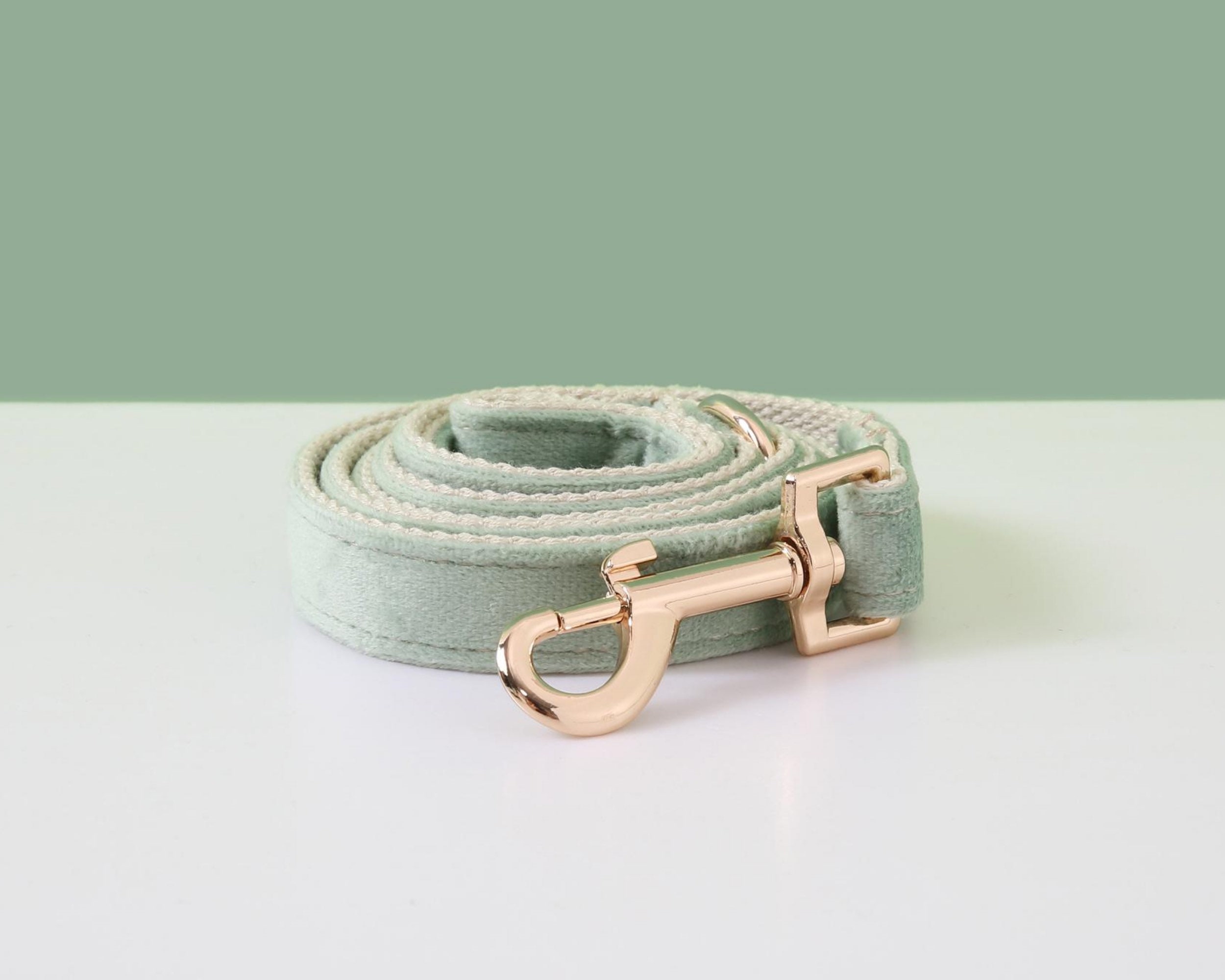 Customizable Sage Green Dog Harness and Leash Set